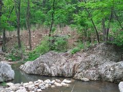 -大连天门山国家森林公园