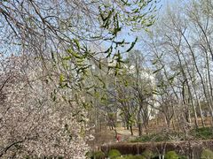 -元大都城垣遗址公园