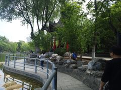 -莲湖公园