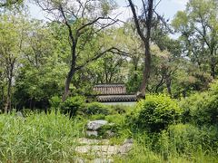-沈阳植物园