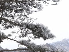 -沂蒙山旅游区云蒙景区(蒙山国家森林公园)