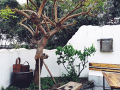 -悦哉·派对·草坪婚礼·围炉煮茶(三圣乡店)