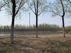 -西青郊野公园