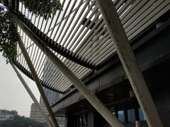 -珠江夜游省总码头