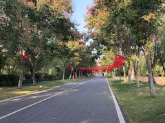 -泗洪洪泽湖湿地景区