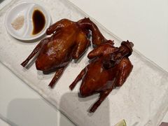 -侨美食家·40年地道粤菜(珠江新城店)