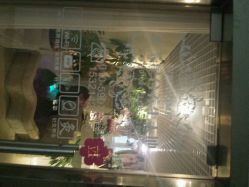 android_upload_pic-克丽缇娜