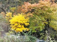 -叠溪松坪沟景区