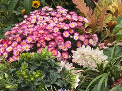 -家富足道·SPA·影院式(解放碑碑中心店)