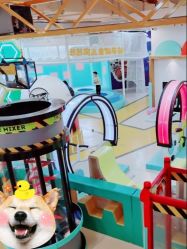 -多多淘儿童体验中心(重庆来福士店)