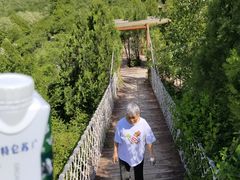 -铜川市金锁关石林