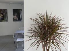 -城外有星光桥舍(南山店)