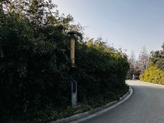 -清凉寺