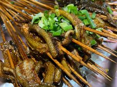 鳝鱼-晓靖轩烧烤(沙河风情店)