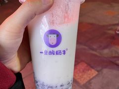 -一只酸奶牛(八一路店)