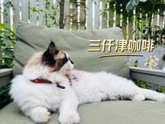 -三仟津花园咖啡馆