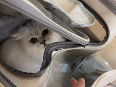 -听TA说宠咖·宠物生活馆(天韵水岸店)