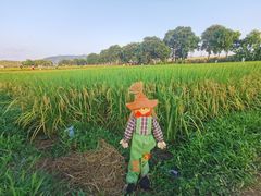 -光明小镇欢乐田园