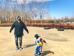 -蒲河岛湿地公园