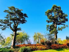-瑶湖郊野森林公园