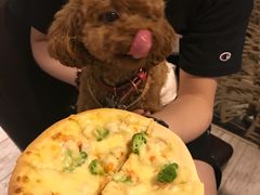 -百好乐宠物友好餐厅(朝外大街店)