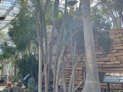 -北京植物园-展览温室