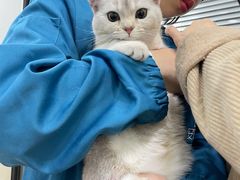 -安安宠物医院(情缘分院)