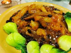葱烧蹄筋海参-山泉公馆酒家(珠江新城店)