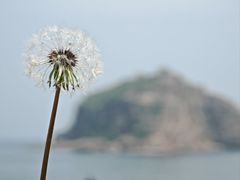-棒棰岛宾馆景区