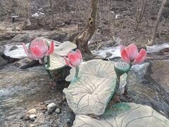 -香炉山国家森林公园