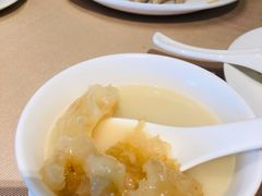 砂锅花胶响螺汤-金苑海鲜酒家(来魅力店)