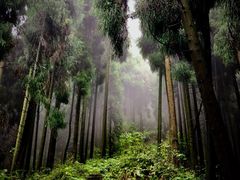 -太阳湾风景区