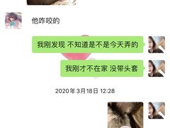 -特一安24小时宠物医院·骨科·中兽医