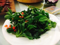 -香港美食大酒楼