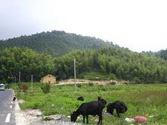 -井冈山风景名胜区-黄洋界