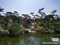 -罗红摄影艺术馆