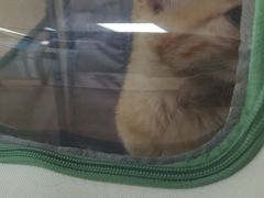-宠颐生中康贝怡动物医院