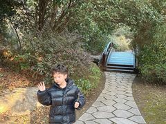 -桃花岛景观公园