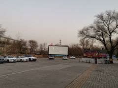 -枫花园汽车电影院(朝阳公园店)