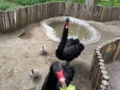 -水上乐园·欢乐世界