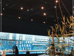 -浙江自然博物院(杭州馆)