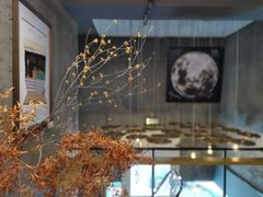 -Infica Coffee