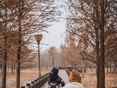 -稚马儿童平衡车自行车俱乐部