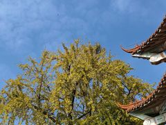 -句容茅山景区