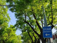 -百花深处胡同