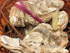 -蚝堡海鲜·威海菜·海肠捞饭·烧烤·亚洲吃蚝公司(幸福门店)