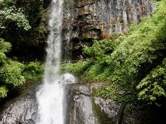 -龙苍沟森林公园