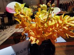 -北京希尔顿逸林酒店-逸轩西餐厅-自助餐厅