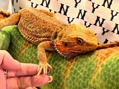 -FAIRYLAND龙族星球主题餐厅(凯丹广场店)