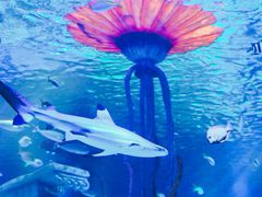 -沈阳海洋探索中心